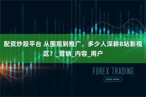 配资炒股平台 从围观到推广，多少人深耕B站影视区？_营销_内容_用户