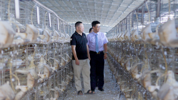 杠杆平台app哪个可靠 农行广东分行：推动金融资源下沉，助力“百千万工程”三年初见成效